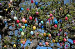 Baum mit ganz viele bunte Ostereier