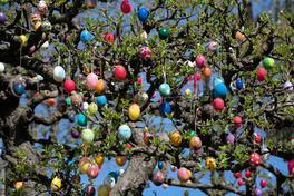Baum mit ganz viele bunte Ostereier