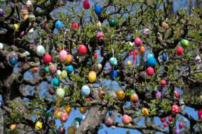 Baum mit ganz viele bunte Ostereier