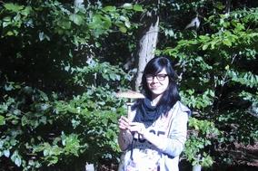 Familienwaldtag mit Pilzwanderung im Krugpark