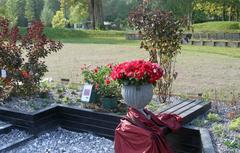 Rose auf den Namen "Rose der Einheit" getauft