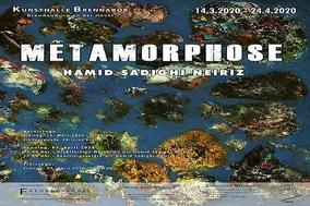 Metamorphose - Hamid Sadighi Neiriz