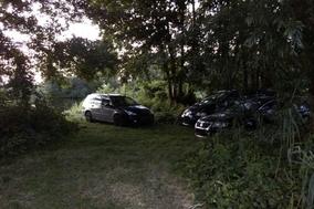 Autos parken auf einer Wiese unter Bäumen