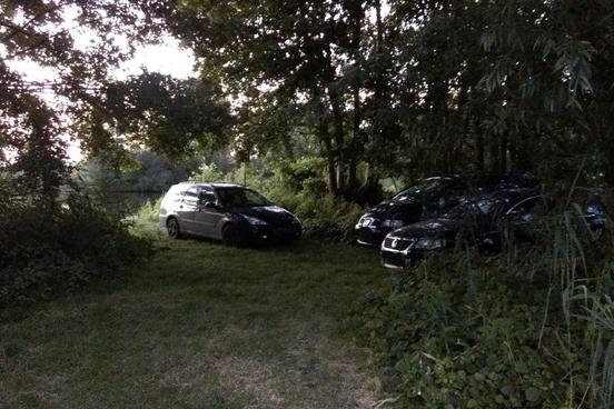 Autos parken auf einer Wiese unter Bäumen