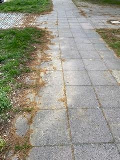 mit Gras überwachsener Fußweg