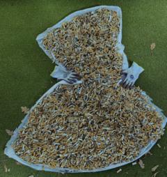 Ein Kleid aus Kippenstummel