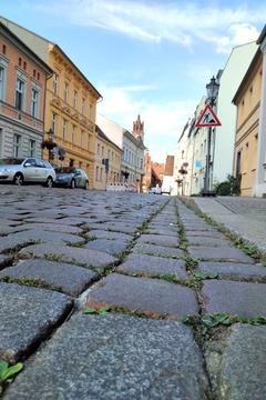 Im Vordergrund Pflastersteine der Straße, im Hintergrund Autos, Baustellenschild und Altstädtisches Rathaus