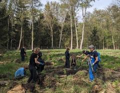 Pflanzaktion der Peterson Technologies GmbH im Brandenburger Stadtwald.