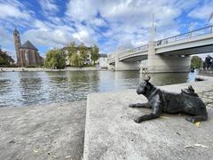 Der Waldmops (hier vor der Jahrtausendbrücke) zieht auch Läufer magisch an.