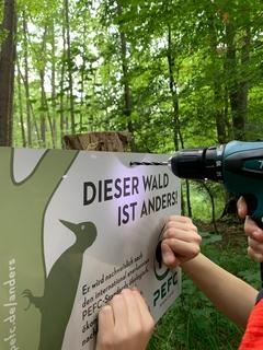 Die Schülerinnen und Schüler haben Schilder aufgestellt, die auf das Zertifikat des Stadtwaldes hinweisen