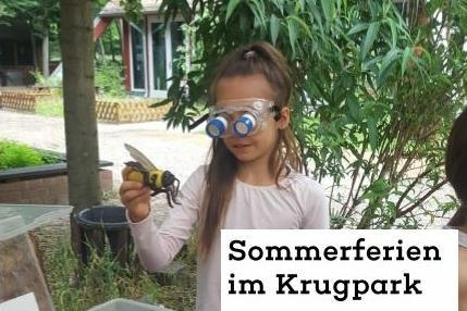 Poster des Sommerferienprogramms vom Krugpark: Mädchen mit einer Entdeckerbrille und einer Biene in der Hand im Vordergrund. 