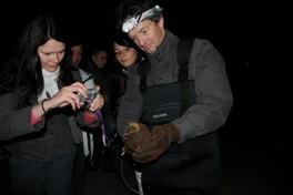 Beim GEO-Tag der Artenvielfalt 2009