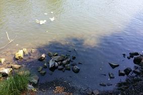 Allgemeinverfügung zum Schutz des Grundwassers erlassen