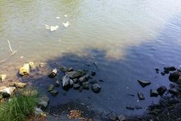 Allgemeinverfügung zum Schutz der Wasserstände erlassen