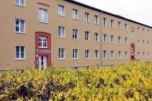 Dreistöckiges Wohnhaus mit Sträuchern im Vordergrund