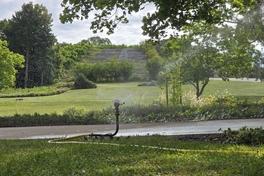 Vor dem großen Besucherandrang wird das Grün auf dem Marienberg noch einmal kräftig gewässert.