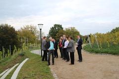 Führung über das BUGA-Gelände, Weinberg