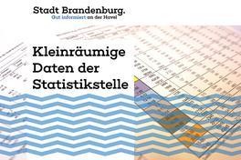 Veröffentlichungen der Statistikstelle der Stadt Brandenburg an der Havel