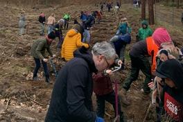 Die erste Gruppe beim Pflanzen im Stadtwald.