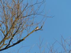 Foto: Andrea Kausmann