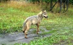 Foto: Landesamt für Umwelt, C. Eiser