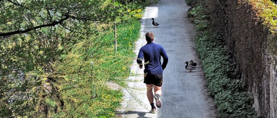 Junger Mann joggt durch einen Park