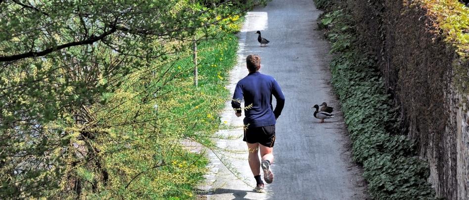Junger Mann joggt durch einen Park