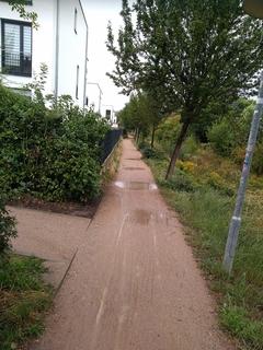 Wegefläche der Uferpromenade am Mühlengraben wird repariert