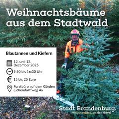 Ein Mann in Forstarbeitskleidung steht zwischen Nadelbäumen.