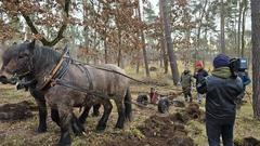 Rike und Paula schreiten mit 2 PS voran.