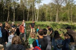 Pflanzaktion der Peterson Technologies GmbH im Brandenburger Stadtwald.