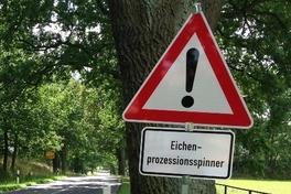 Besondere Tiere und Pflanzen