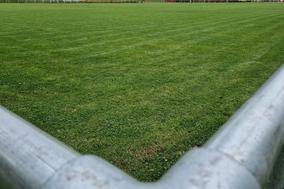 Ein Sportplatz mit gesundem Naturrasen ist schön, ein Kunstrasenplatz ganzjährig nutzbar.
