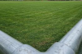 Ein Sportplatz mit gesundem Naturrasen ist schön, ein Kunstrasenplatz ganzjährig nutzbar.