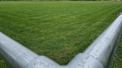 Ein Sportplatz mit gesundem Naturrasen ist schön, ein Kunstrasenplatz ganzjährig nutzbar.