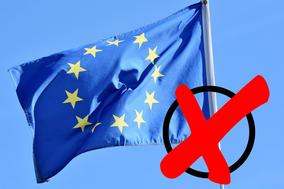 Europawahl 2019: Vorläufiges Wahlergebnis