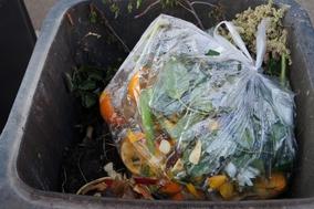 Alles Bio – oder was … ist in der Biotonne?