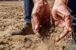 Filmvorführung und Diskussion über lokalen Klimawandel im Krugpark