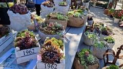 Ein vielfältiges Angebot lädt auf dem Gartenmarkt zum Einkaufen ein.