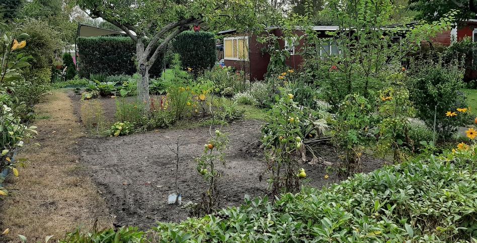 Kleingarten in der Anlage Am Jakobsgraben in Brandenburg an der Havel