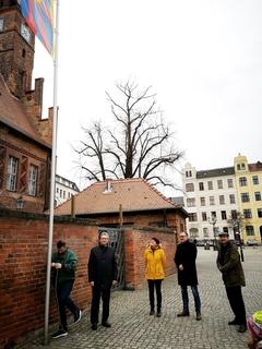 Flagge zeigen für Tibet