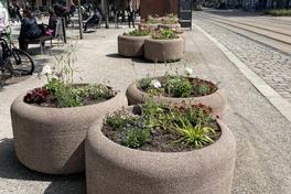 bepflanzte Blumenkübel