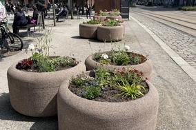 bepflanzte Blumenkübel