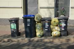 Müttonnen am Straßenrand