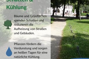Grüner Stadtpark mit großen Bäumen und schattigem Weg. Stadtgrün verbessert das Mikroklima und schafft lebenswerte Orte.