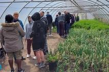 Einblicke in das Gärtnereizelt, wo frisches Gemüse angebaut wird.