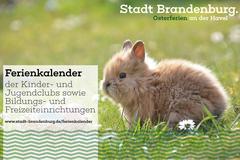 Ein Hase auf der grünen Wiese.