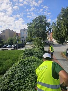 Auch entlang der Hammerstraße erfolgte bereits die Pflege des Grüns.