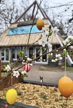 Ostereier am Strauch