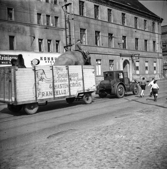 Der Zirkus kommt nach Brandenburg, Foto: Stadtmuseum Brandenburg an der Havel